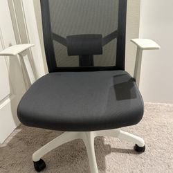2 Office Chairs
