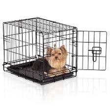 Kennel