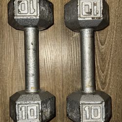 10 Pound Dumbbells Set Pair