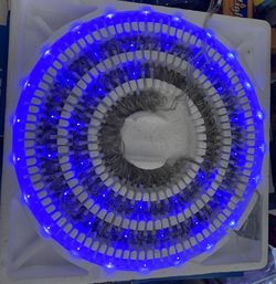 Christmas LED Light