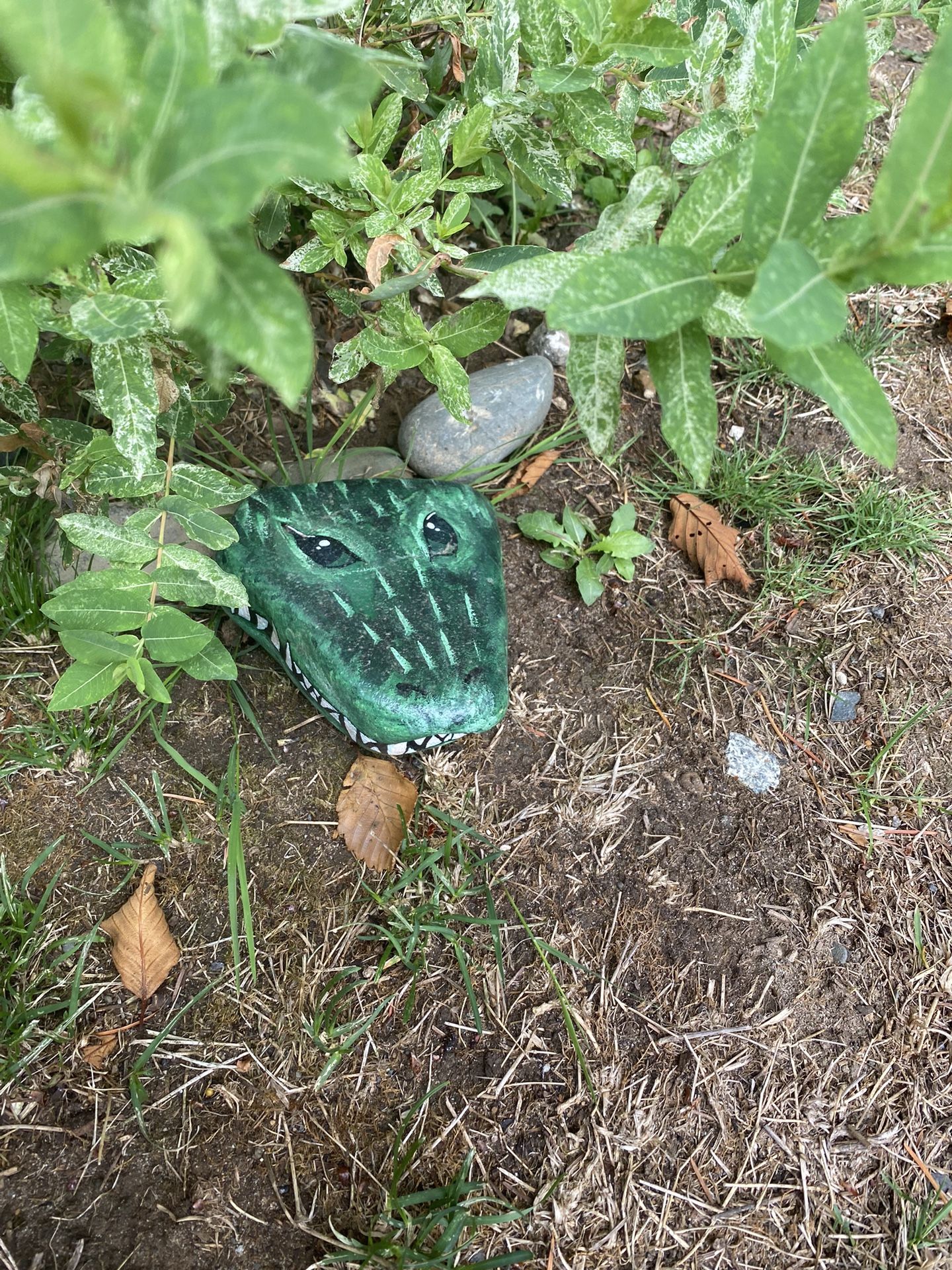 Alligator/crocodile Head Painted Rock