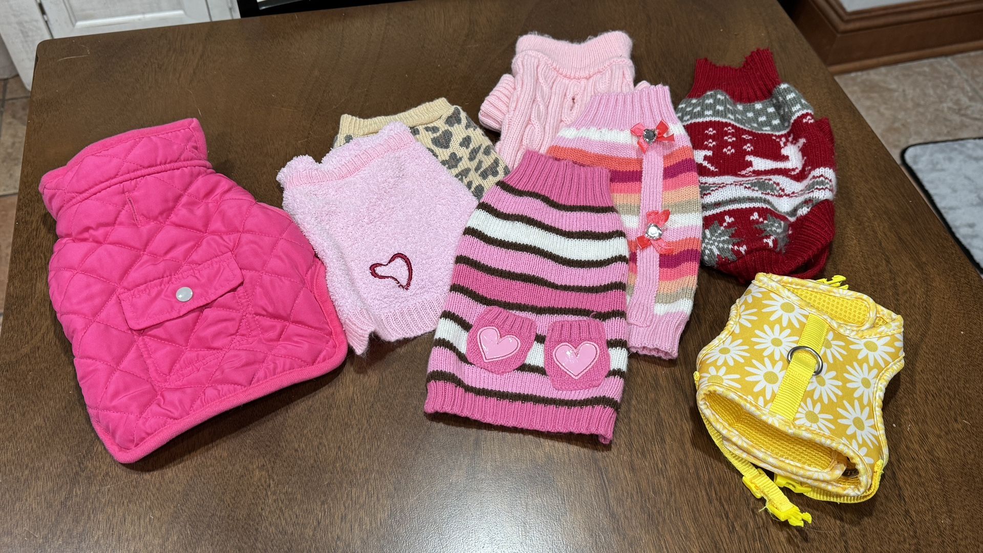 Lot of Small Dog Clothes, Jacket, & Harness