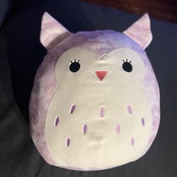 Holly The Owl Squishmallow
