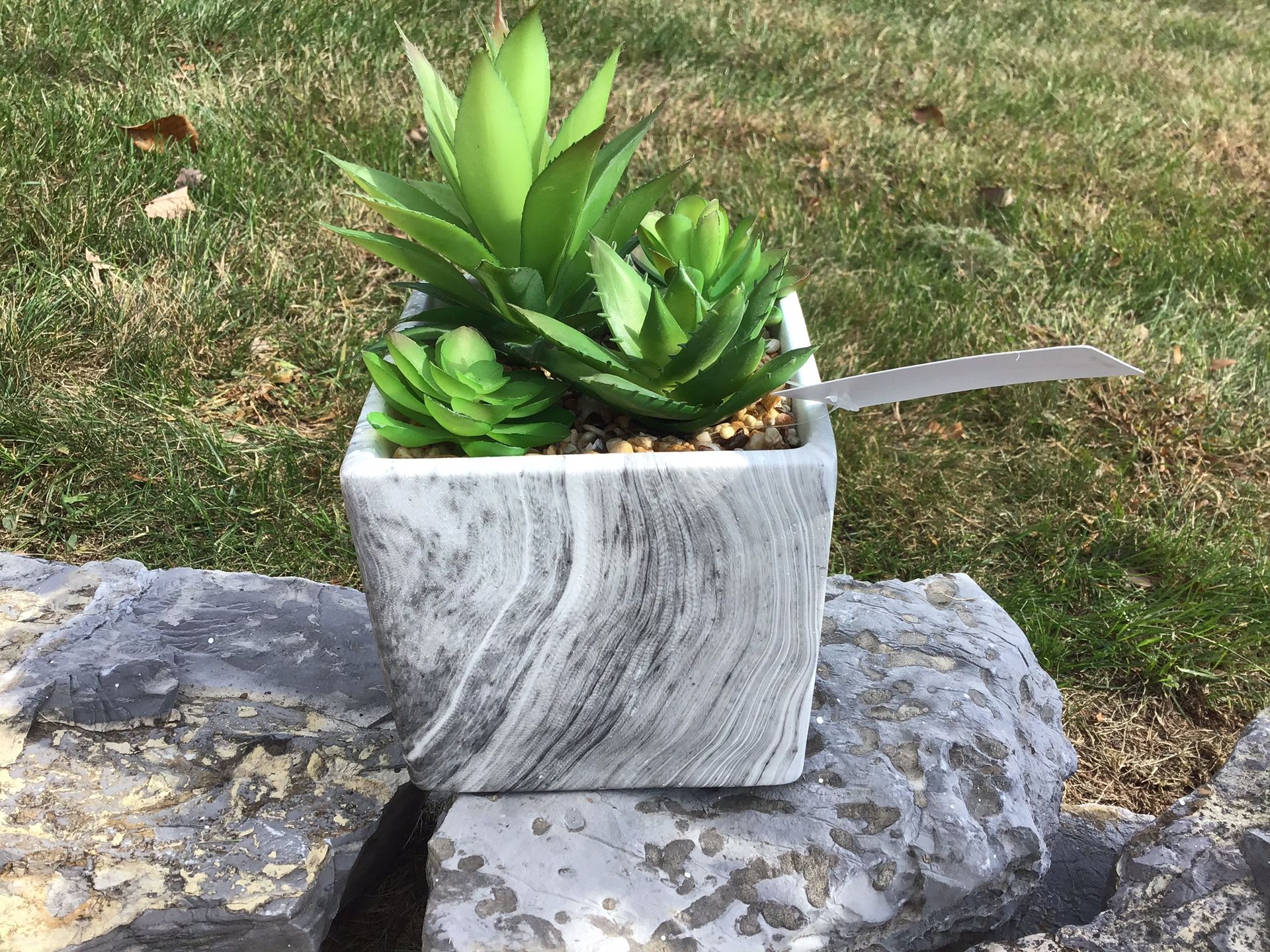 New with tags Cute faux succulent in marble like planter- great Christmas gift