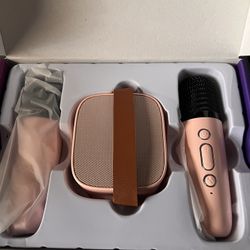 portable Bluetooth karaoke machine