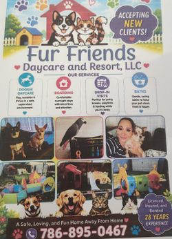 Dog and cat boarding,  pet services Hollywood, FL