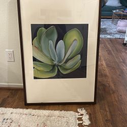 Large Succulent Artwork In Frame 