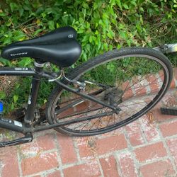 Trek 7.3 Bike