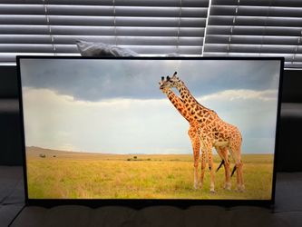 50 Inch 4K Hisense Roku Smart TV