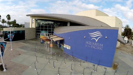 Aquarium of the pacific