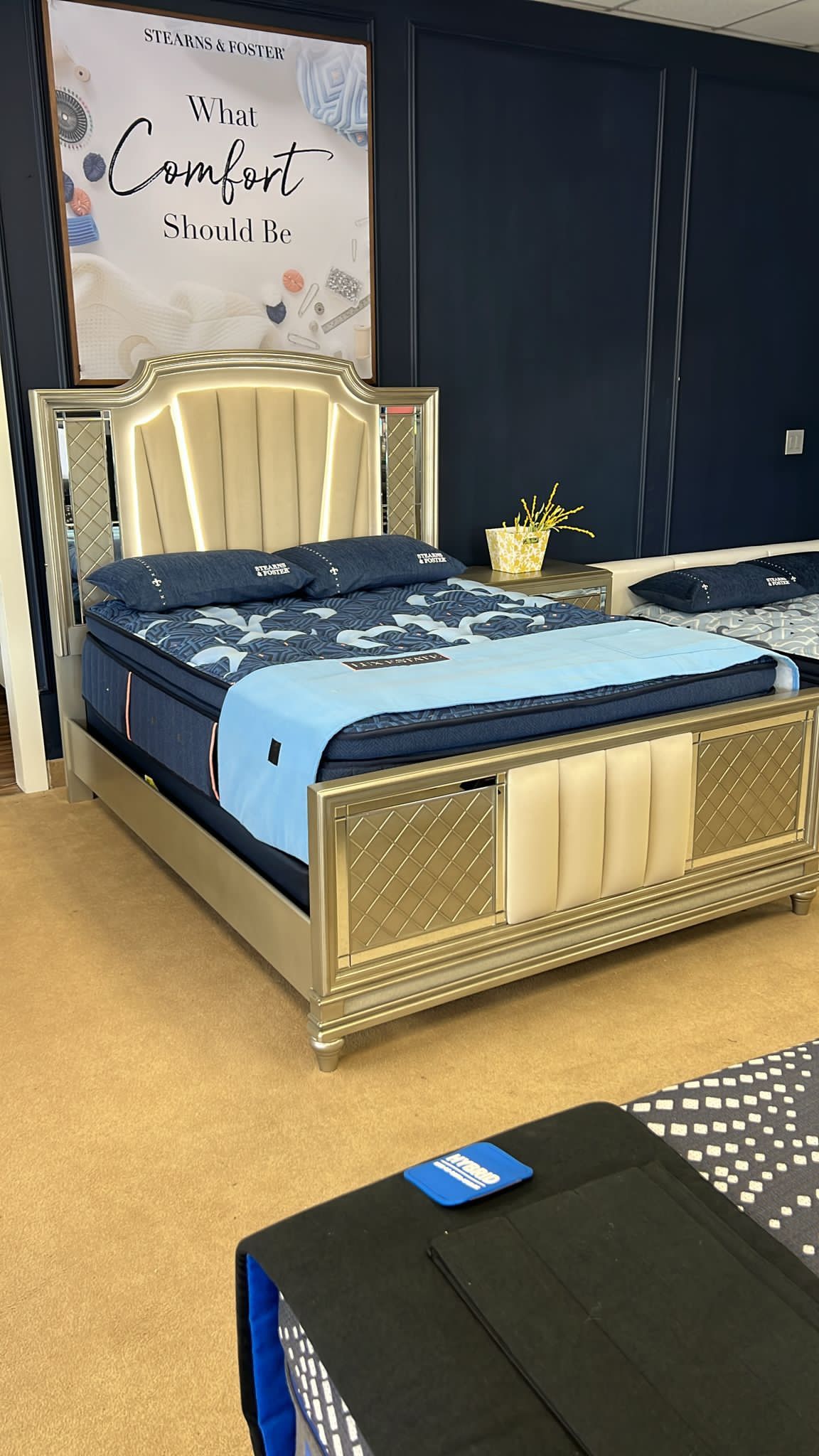 Chevanna Platinum Queen Upholstered Panel Bed