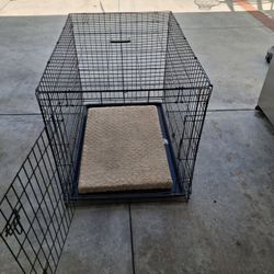 Dog Cage