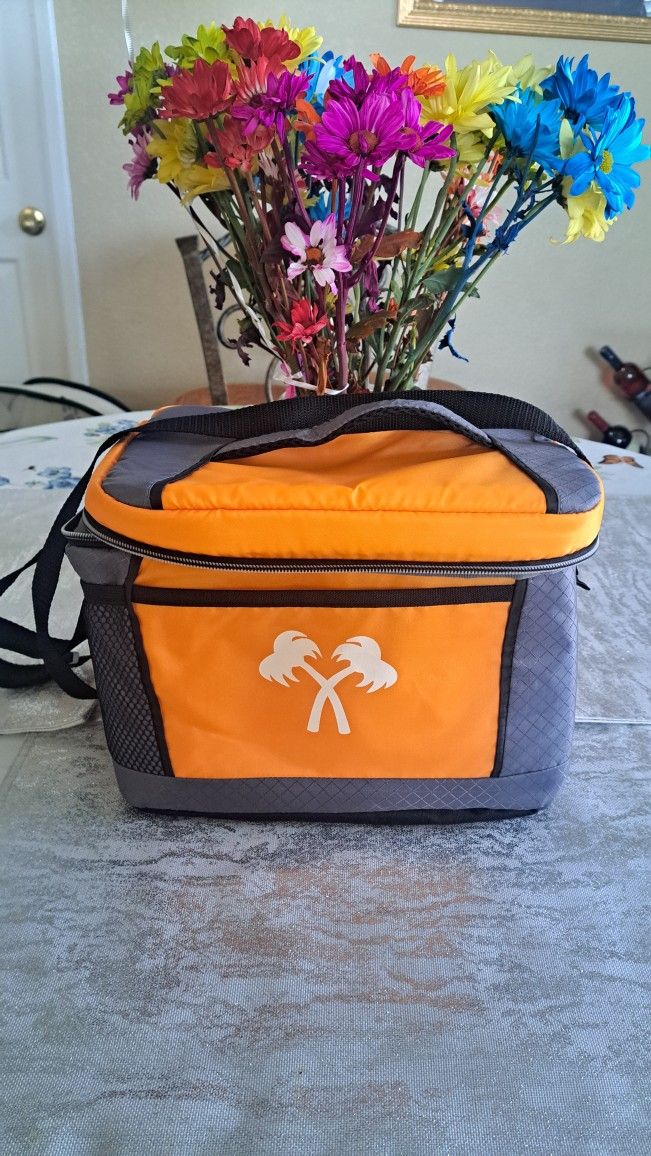 ***In N Out Burger Insulated Lunch Bag ***