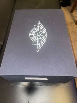 Dior Jordan 1
