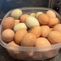 Daily  Natural Fresh Eggs 