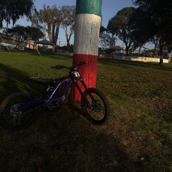 Surron Light Bee X 2024