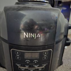 Ninja Air Fryer And Pressure Cooker 