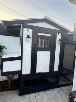 Modern chicken coop