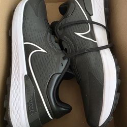 Nike Infinity pro 2