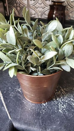 Decor , copper pot