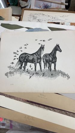 Beautiful Horse Print