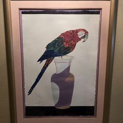 Large Framed Scarlet Macaw Print – Signed & Numbered Jonna White Limited Edition
