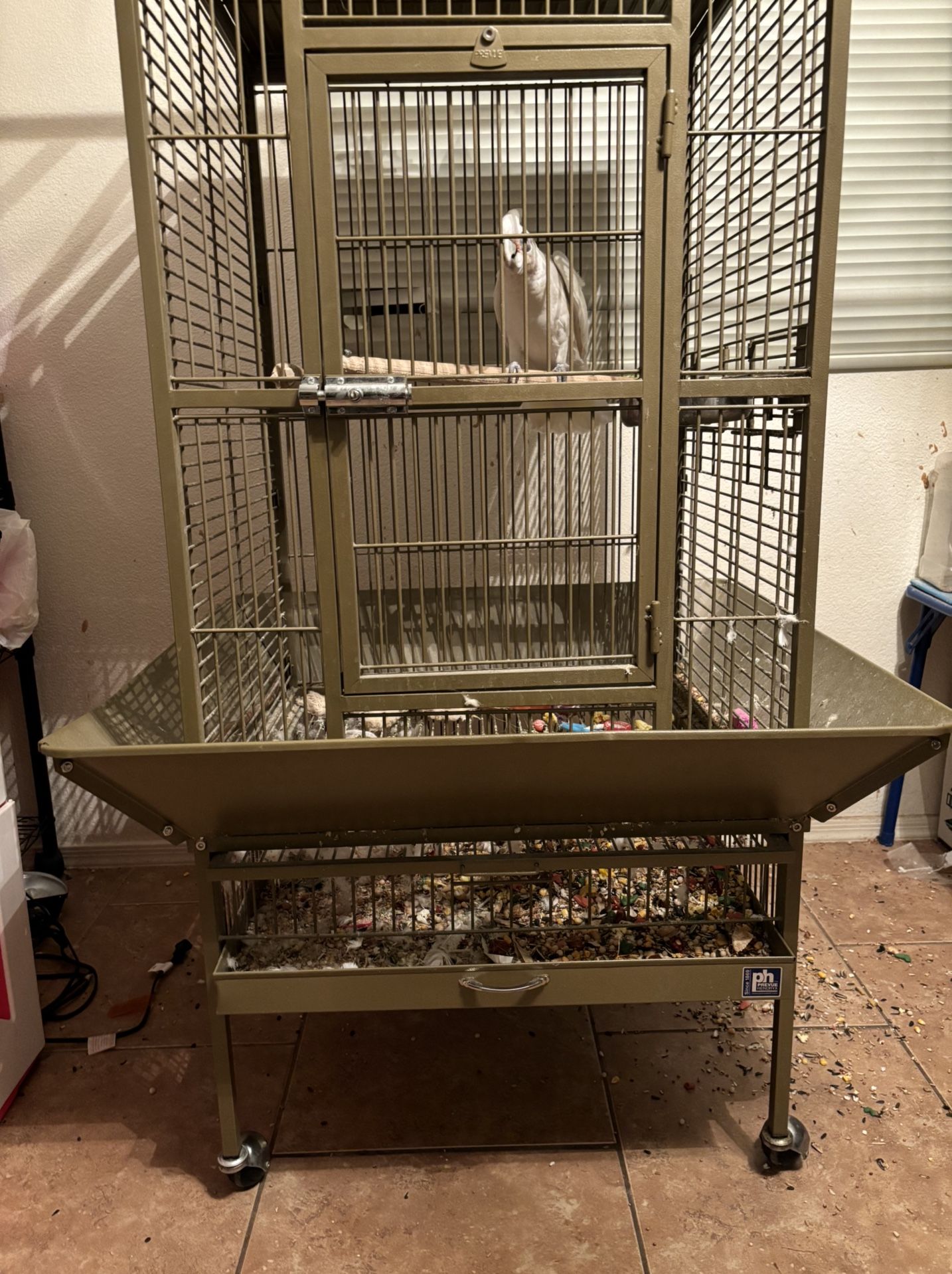 Bird Cage 