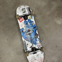 Santa Cruz Skateboard