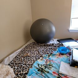 Large Exercise Ball