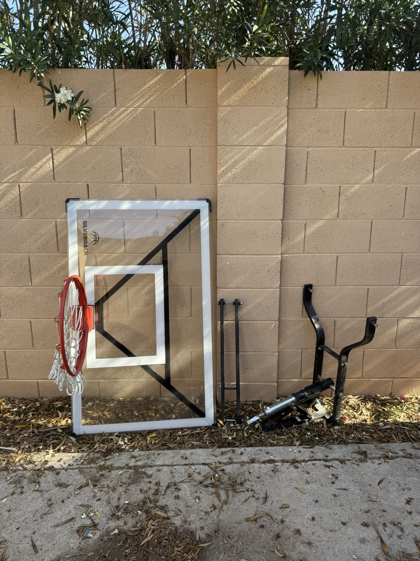 Silverback 54” Adjustable Wall mounted Basketball Hoop