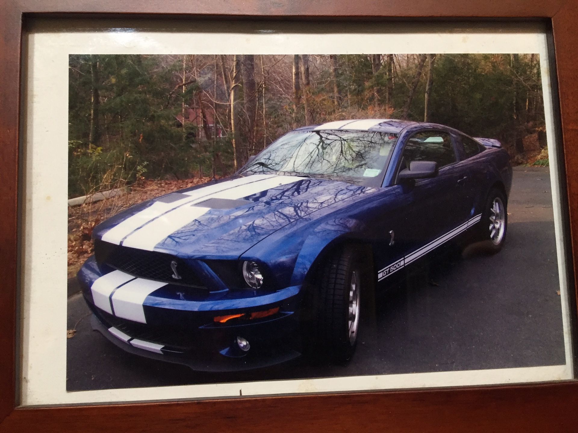 2008 Ford Shelby Gt500