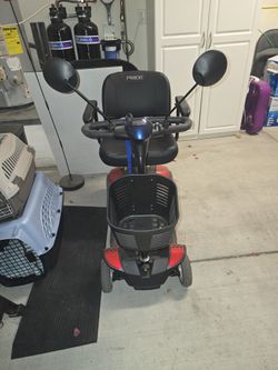 Go Go Scooter