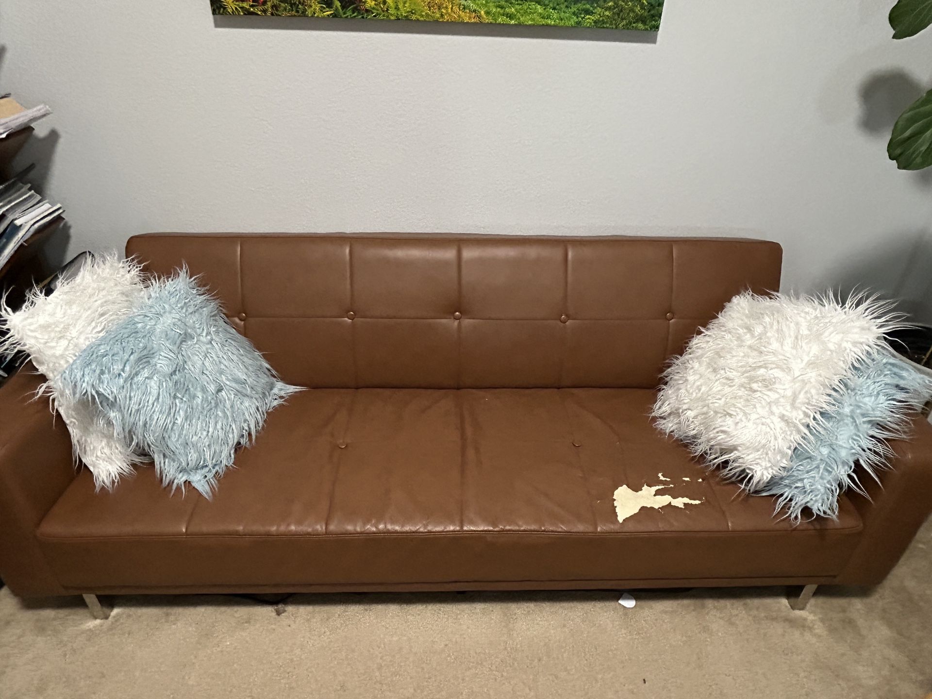 Sleeper Leather Sofa
