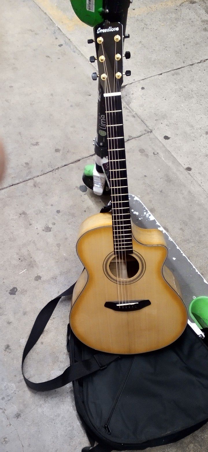Breedlove Acoustic Guitar