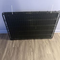 dog crate 