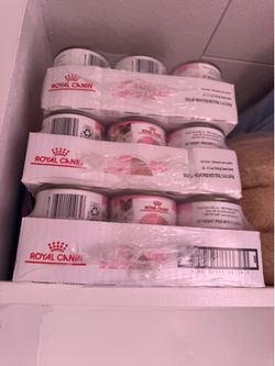 Royal Canin Kitten Food (PLEASE READ DESCRIPTION)