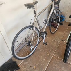 Trek Bike 