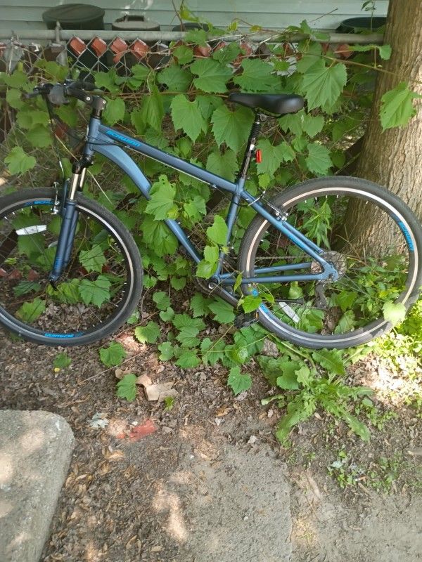 Schwinn Street Bike