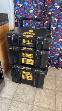 Dewalt 2.0 pack out 3(pack)