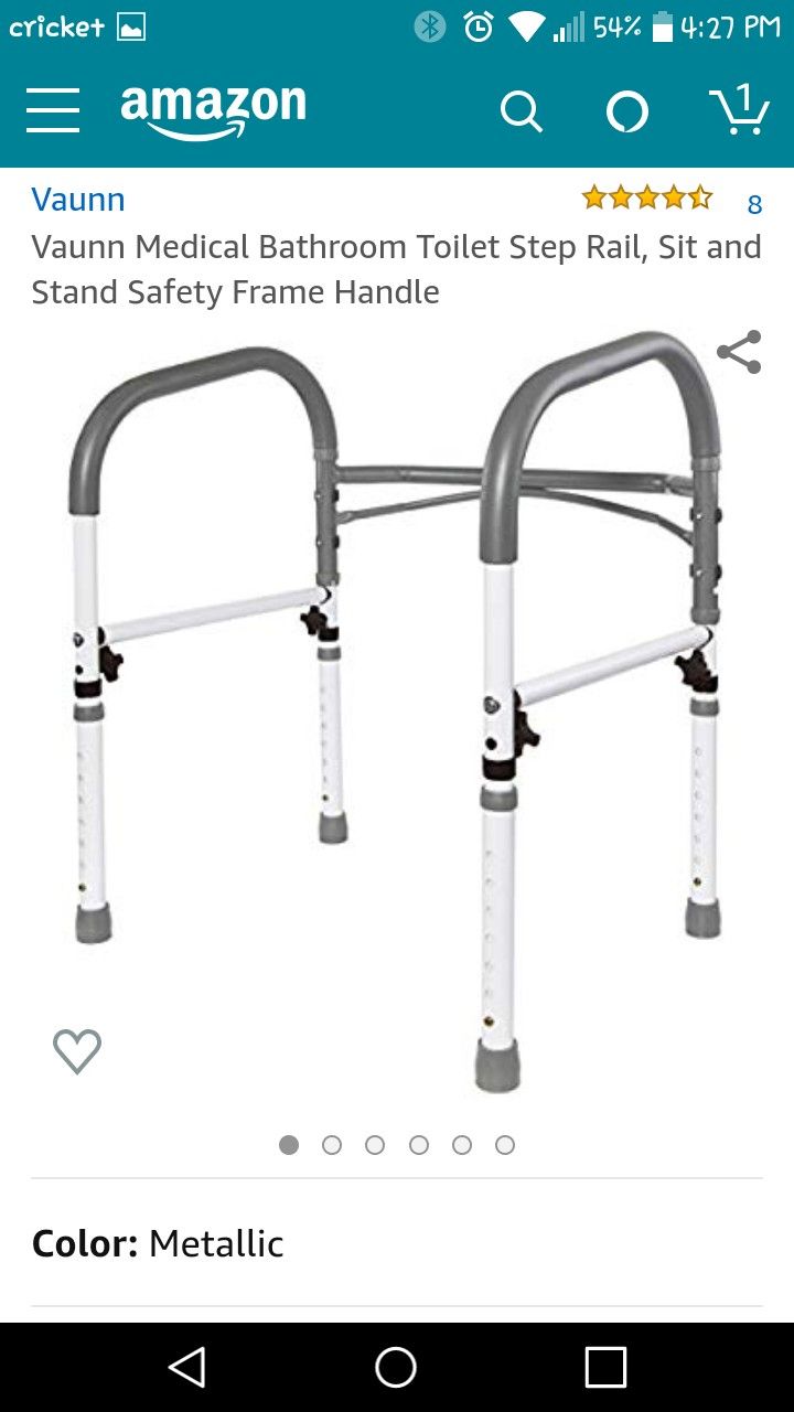 Bathroom toilet step rail