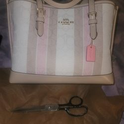 Coach Signature Purse 