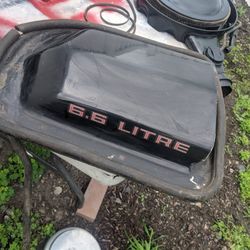 77-81 Trans Am Air Cleaner/ Hood Scoop