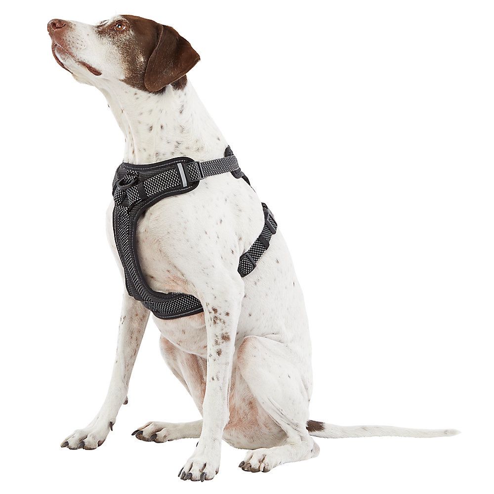 Top Paw brand Ultra Reflective Small Dog Harness