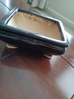  NEW MINI BONSAI POT 💕