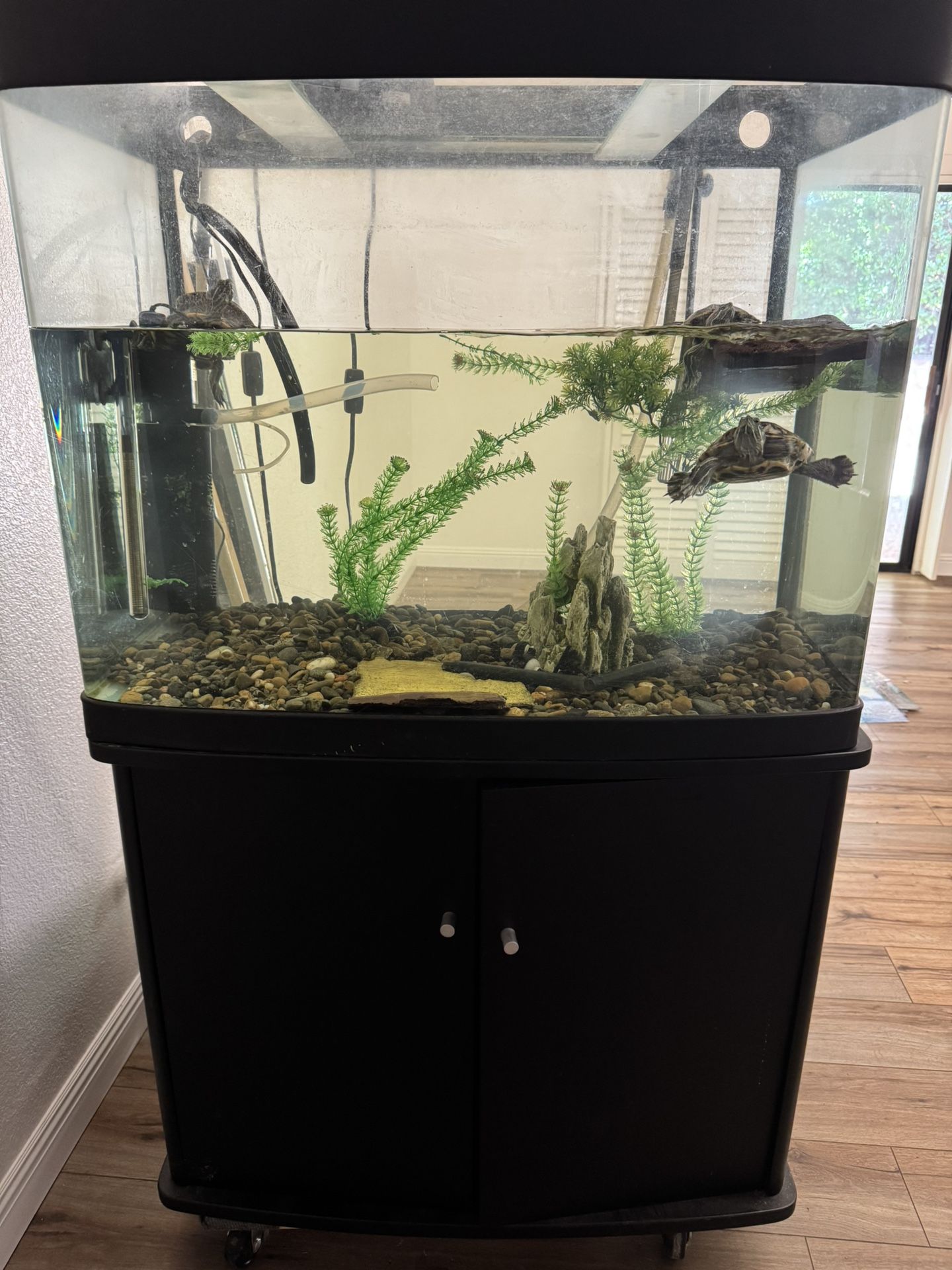 Turtle/Fish Tank - 100 Gallon 