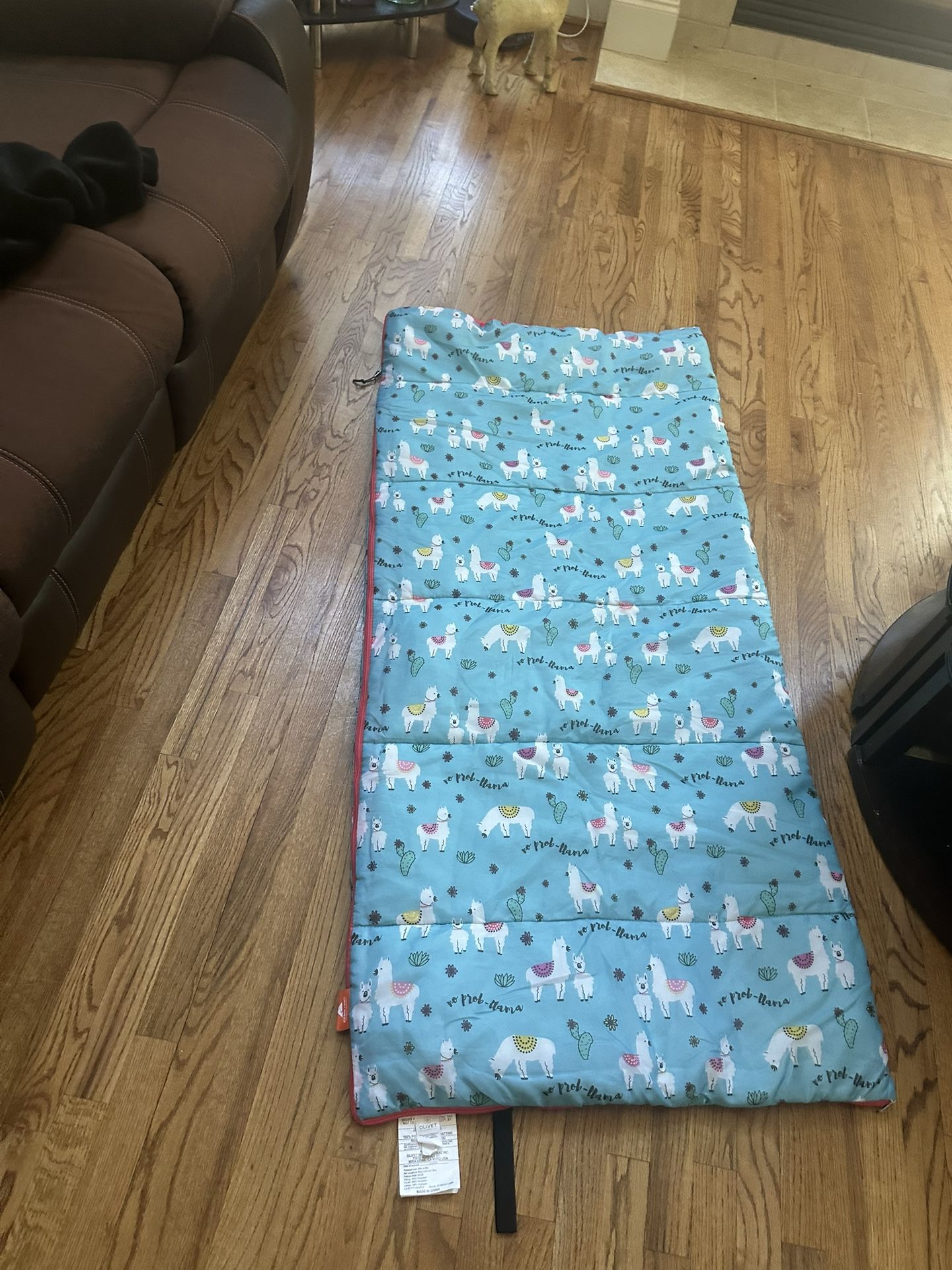 Sleeping Bag ( Twin)