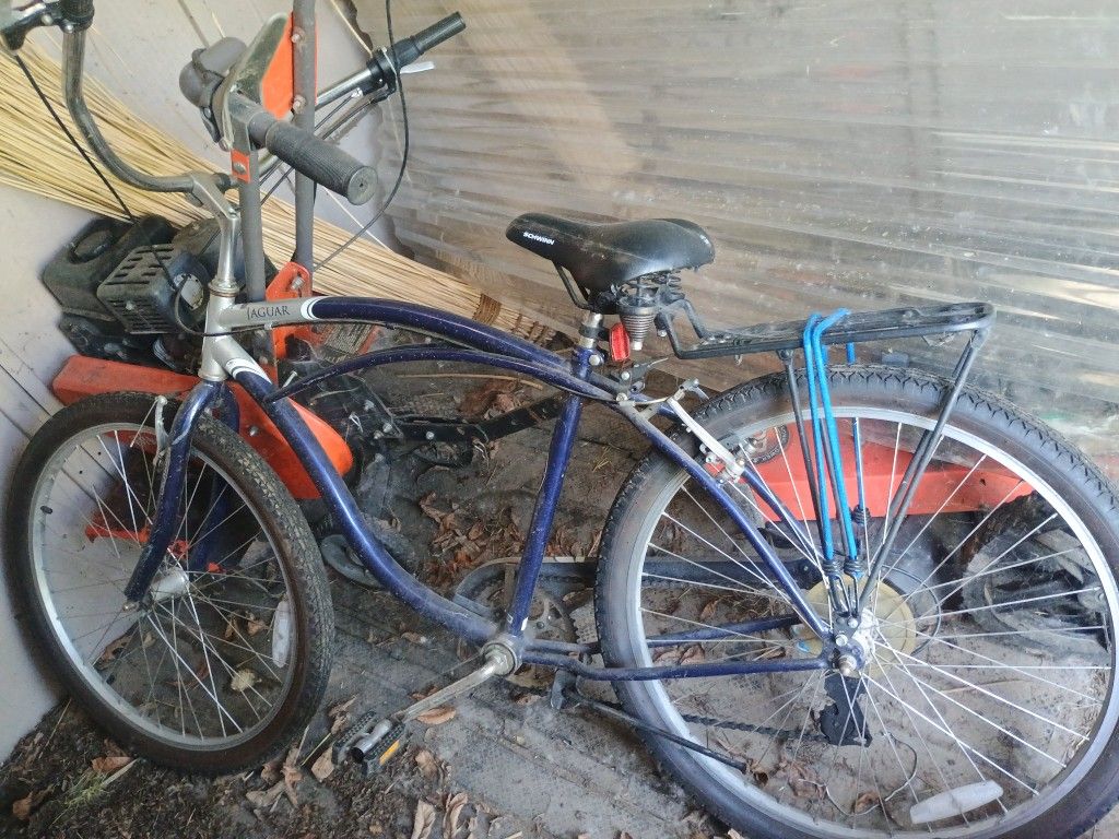 Beach Cruiser Bike