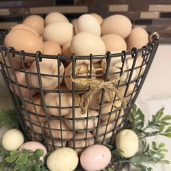 Fresh Chicken Organic Farm Eggs