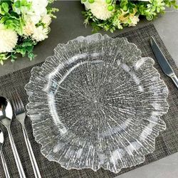 12 Pack Reef Charger Plates for Dinner Plates Plastic Round 13 inch Party Wedding Decor Place mats (Clear)