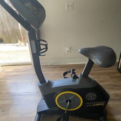 Golds Gym exercise bike 290C